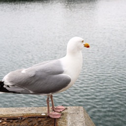 irland rundreise 2025_52